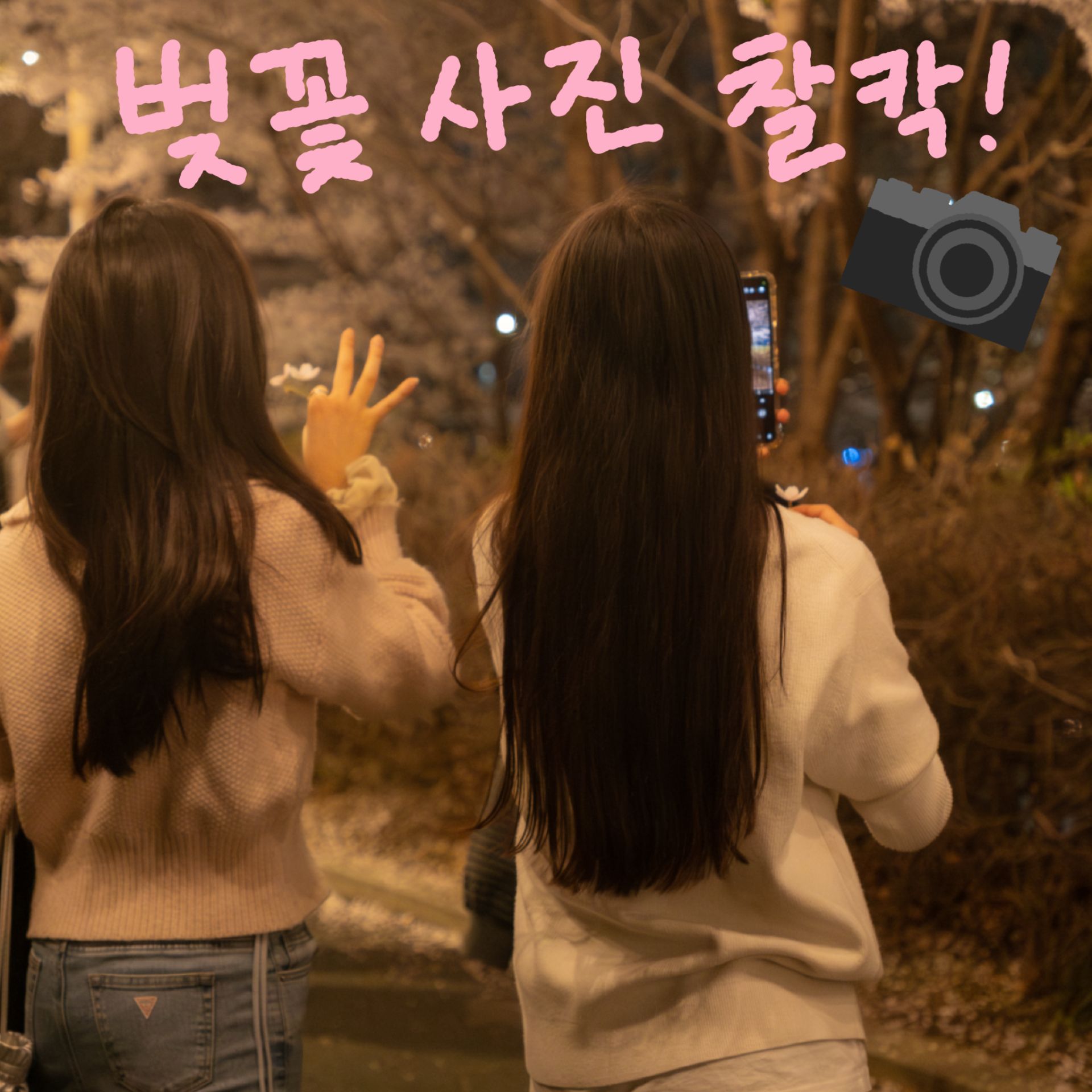 미디어 61